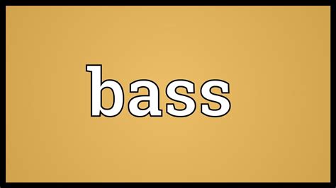 Bass Meaning in Music: A Deep Dive into the Subtleties of the Bass Role in Modern Music