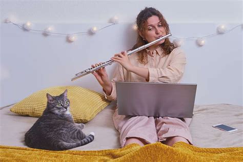 do animals like music and do they react to different genres of music?